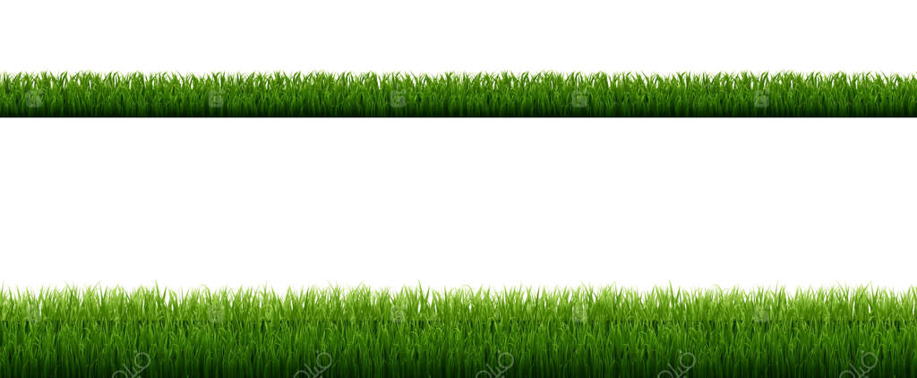 مرز چمن سبز با پس‌زمینه سفید جدا شده
