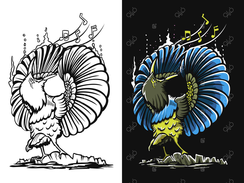 تصویرسازی پرنده آوازخوان سیاه و سفید و رنگی