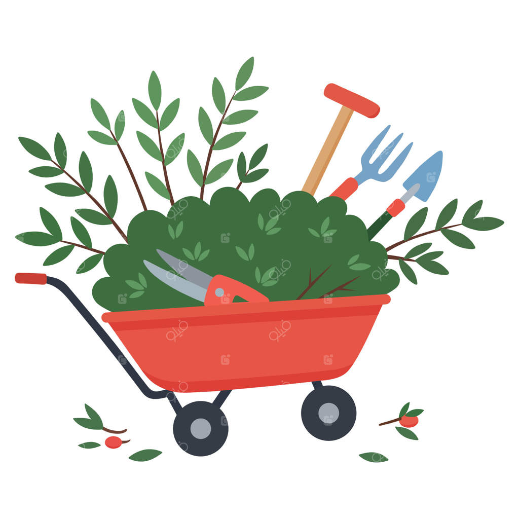 ابزار باغبانی و شاخه‌های هرس‌شده در فرغون