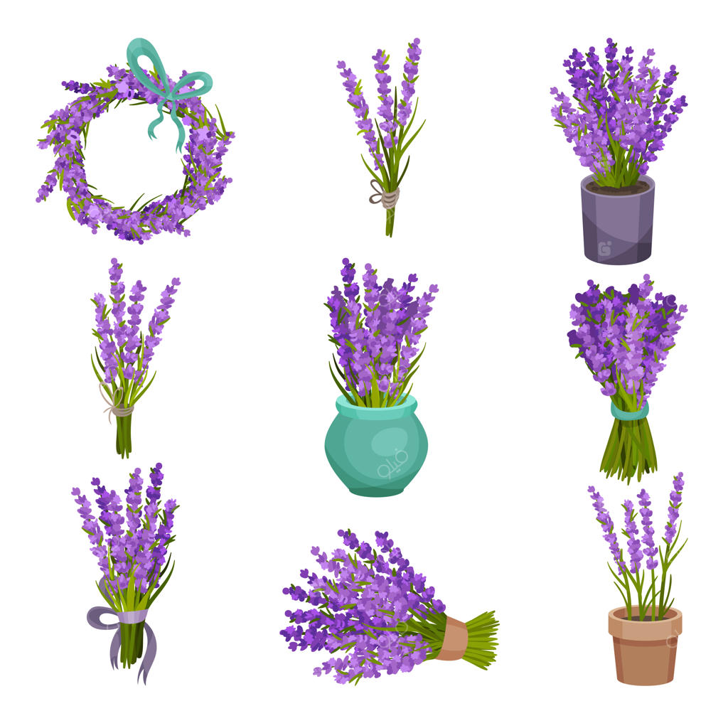 مجموعه‌ای از گل‌آرایی‌های متنوع. تصویرسازی