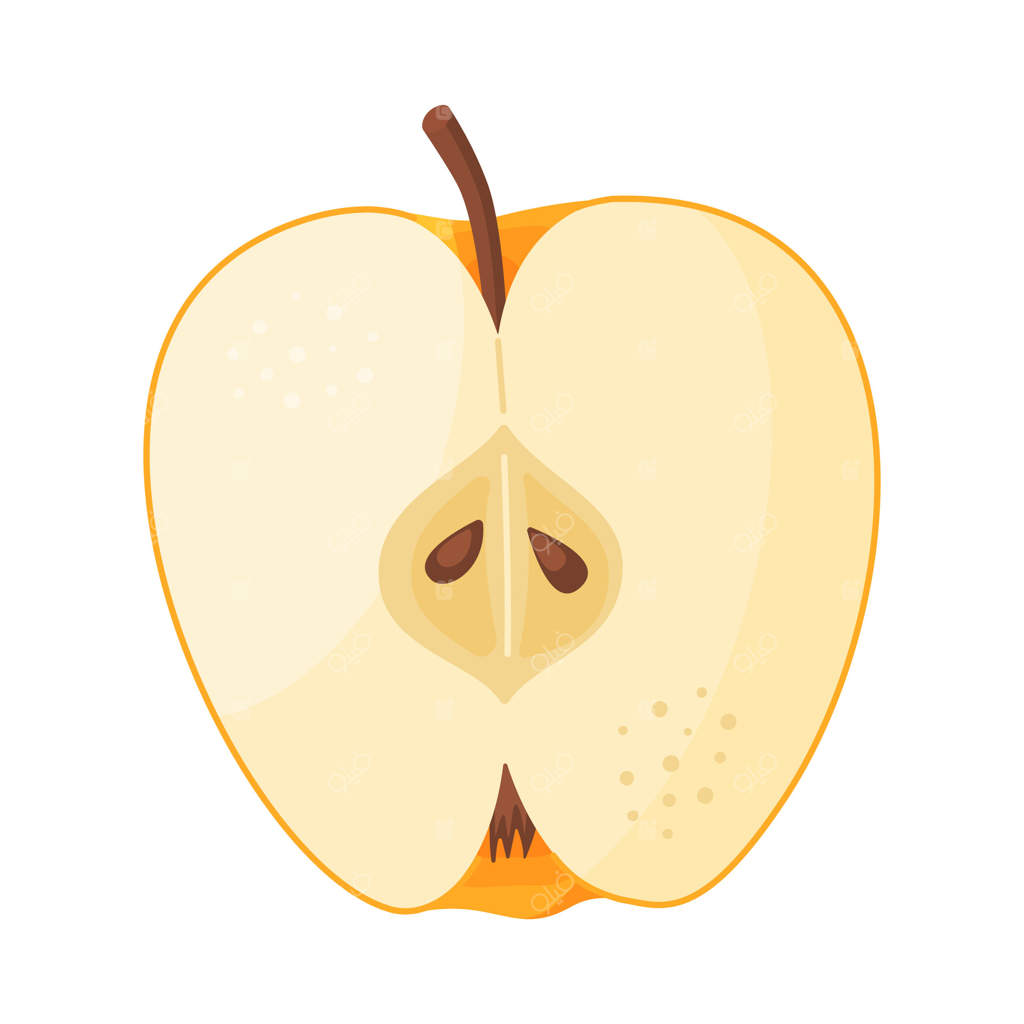 سیب زرد و رسیده از باغ، تصویرسازی دستی میوه تازه. نصف سیب زرد، سبک مسطح روی زمینه شفاف. تصویر سیب "گلدن دلیشز"