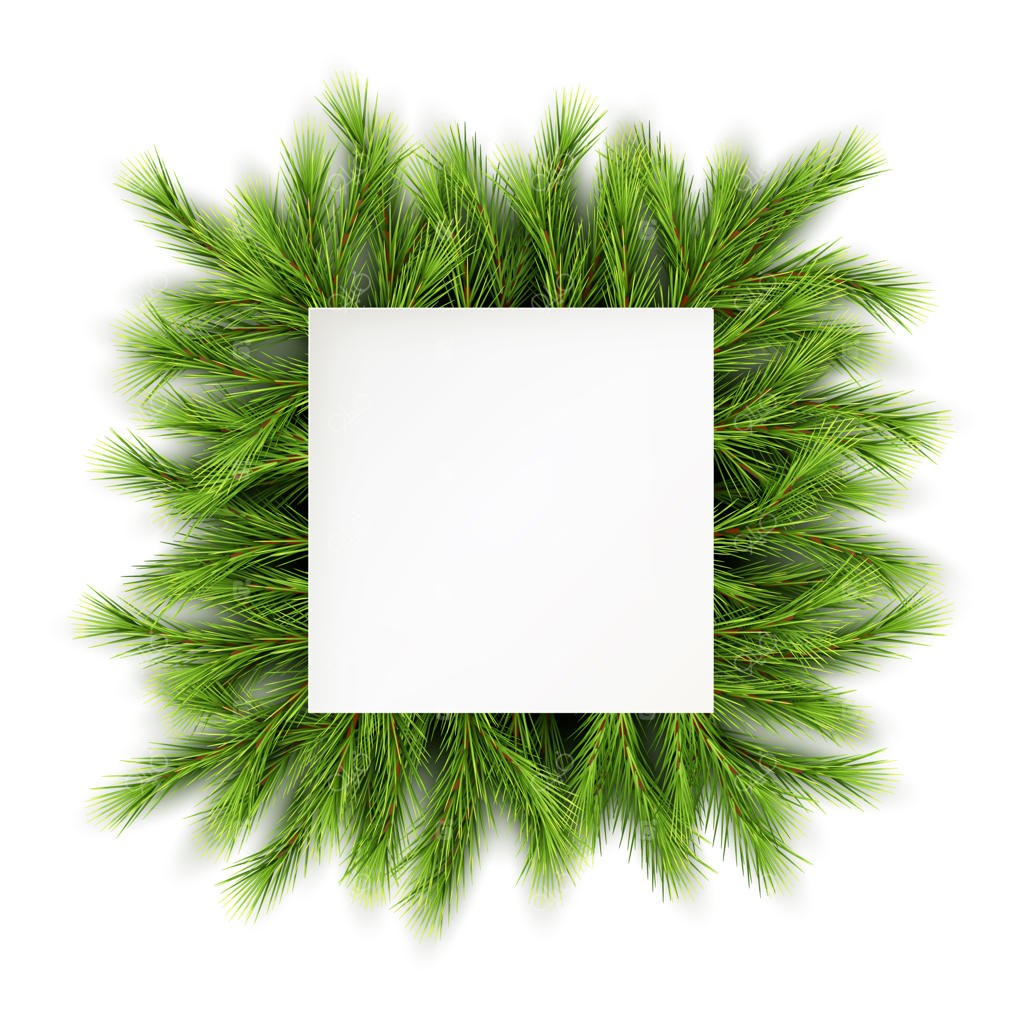 قاب کریسمس با شاخه‌های کاج