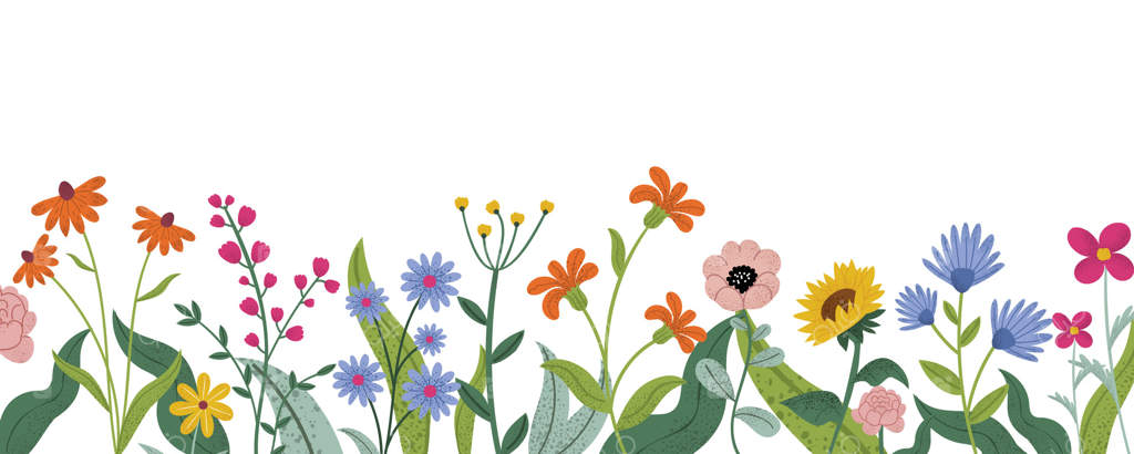 حاشیه گلدار با گل‌های تابستانی و بهاری: تزیینات گیاهی با گل‌های شکوفا، گیاهان باغی و سبزه‌ها. گل‌های وحشی و علفزار در سبک ساده.