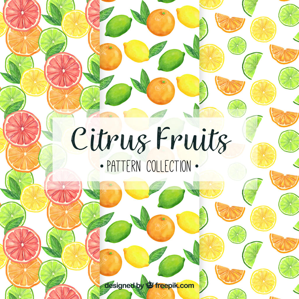 چندین پترن آبرنگی از میوه‌ها