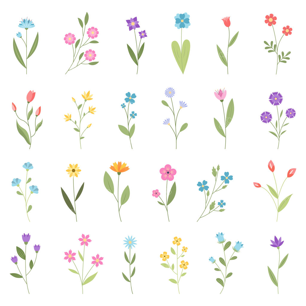 مجموعه تصویرسازی وکتور گل‌های بهاری و تابستانی