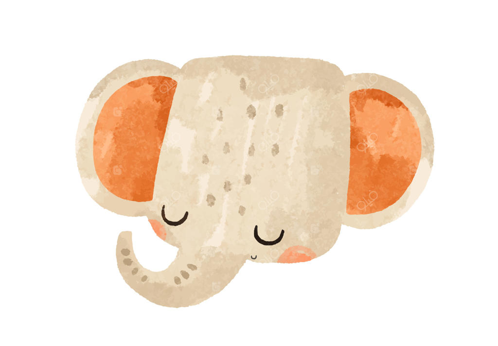 مجموعه پرتره حیوانات، چهره بامزه حیوانات وحشی، فیل و خرس