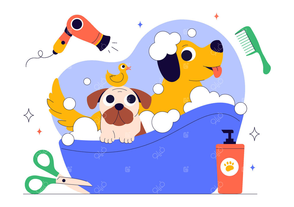 سبک مسطح: مفهوم آرایش حیوانات خانگی با مراقبت از بهداشت سگ و گربه