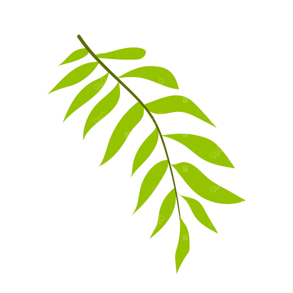 برگ‌های سبز در طراحی تخت. شاخه‌ای از شاخ و برگ، گیاه سبز در باغ. تصویر جداگانه.