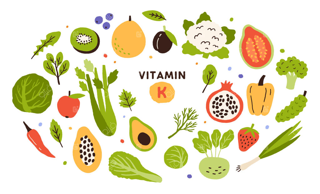 مجموعه‌ای از منابع ویتامین K: میوه‌ها، سبزیجات سبز و توت‌ها. محصولات رژیمی و تغذیه ارگانیک و طبیعی.