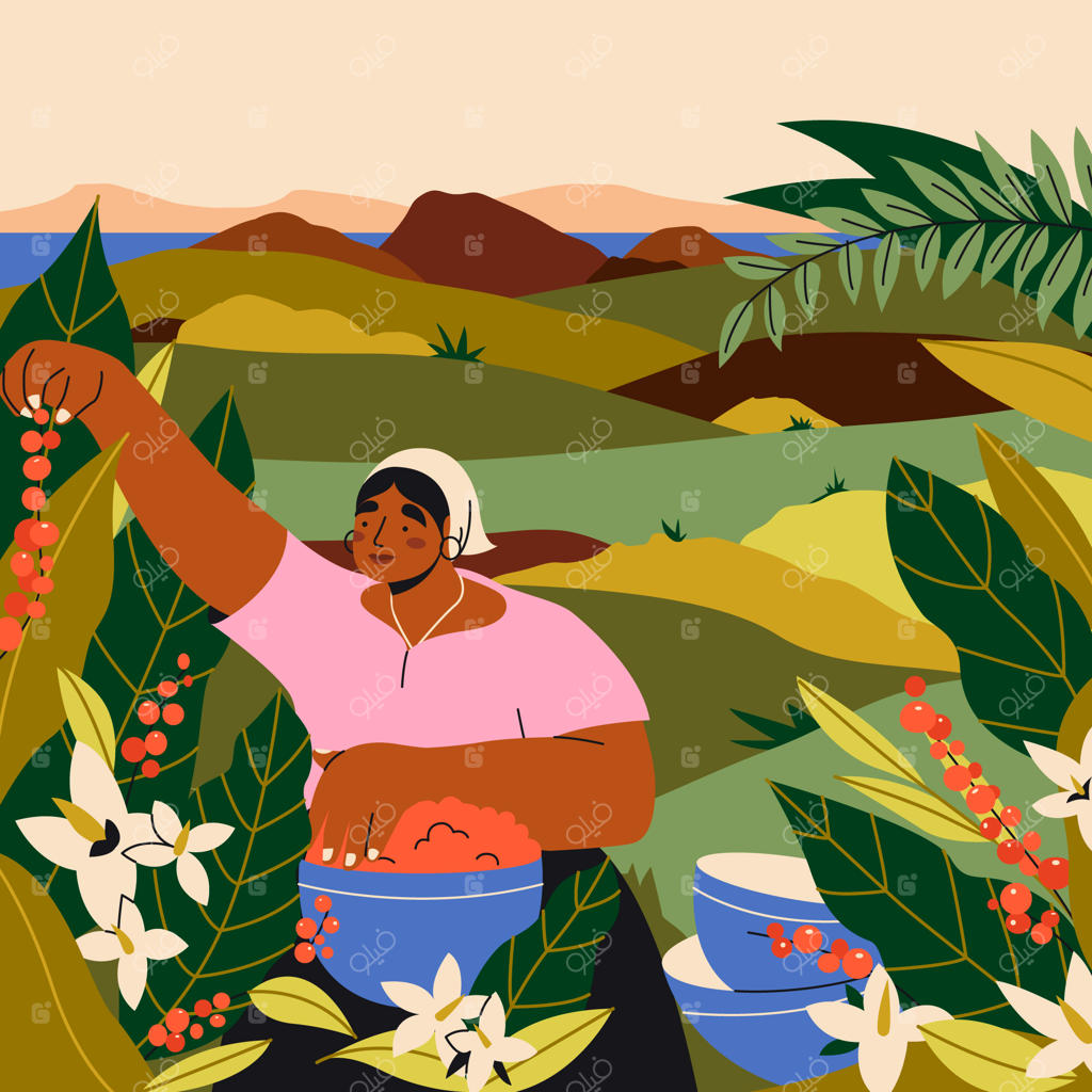 تصویرسازی صحنه آمریکای لاتین به صورت دستی کشیده شده