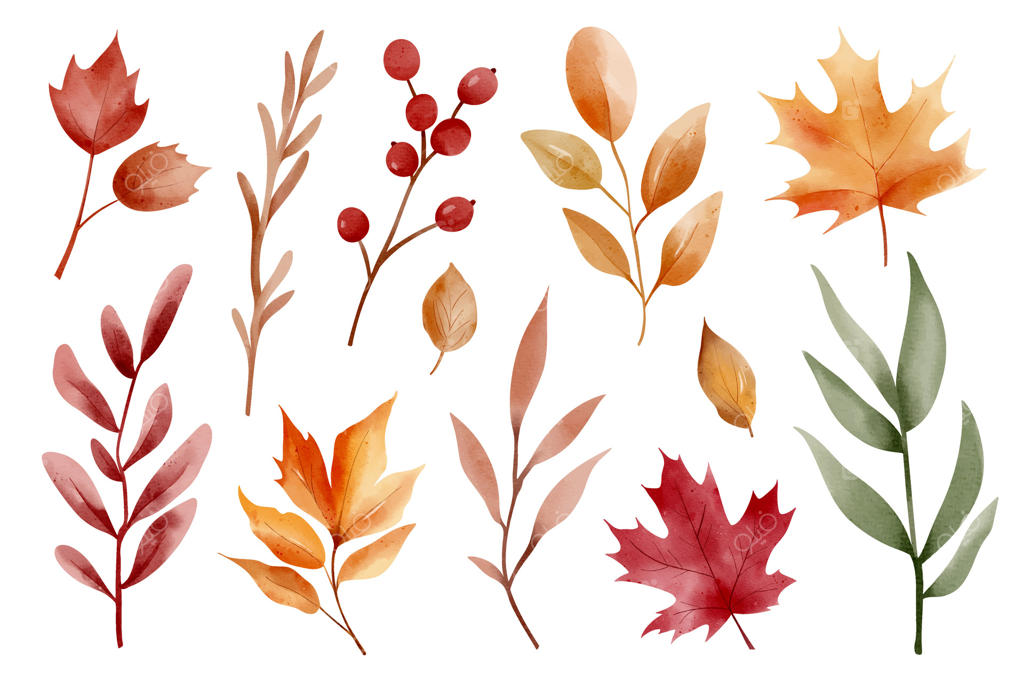 برگ‌های پاییزی آبرنگی برای الهام طراحی فصلی - وکتور حرفه‌ای