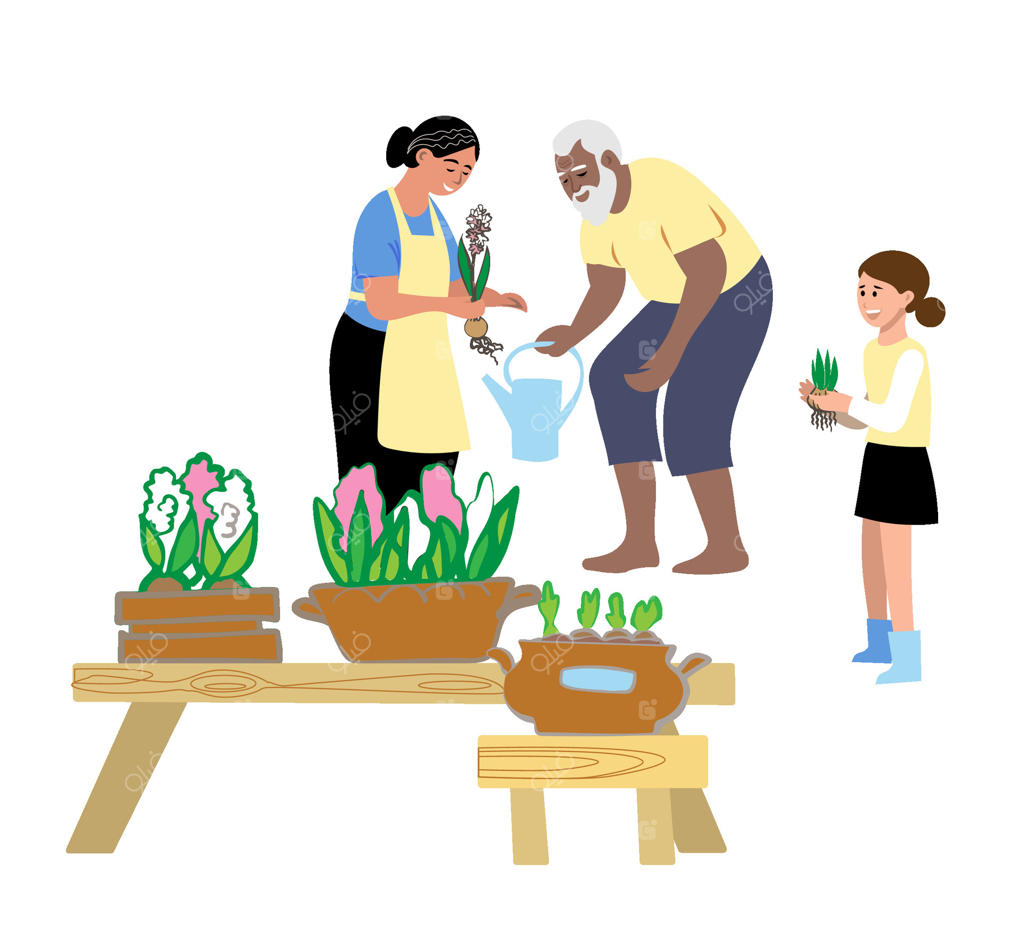 تصویر تخت از پدربزرگ و مادربزرگ به همراه نوه در حال باغبانی یا رسیدگی به باغچه در حیاط