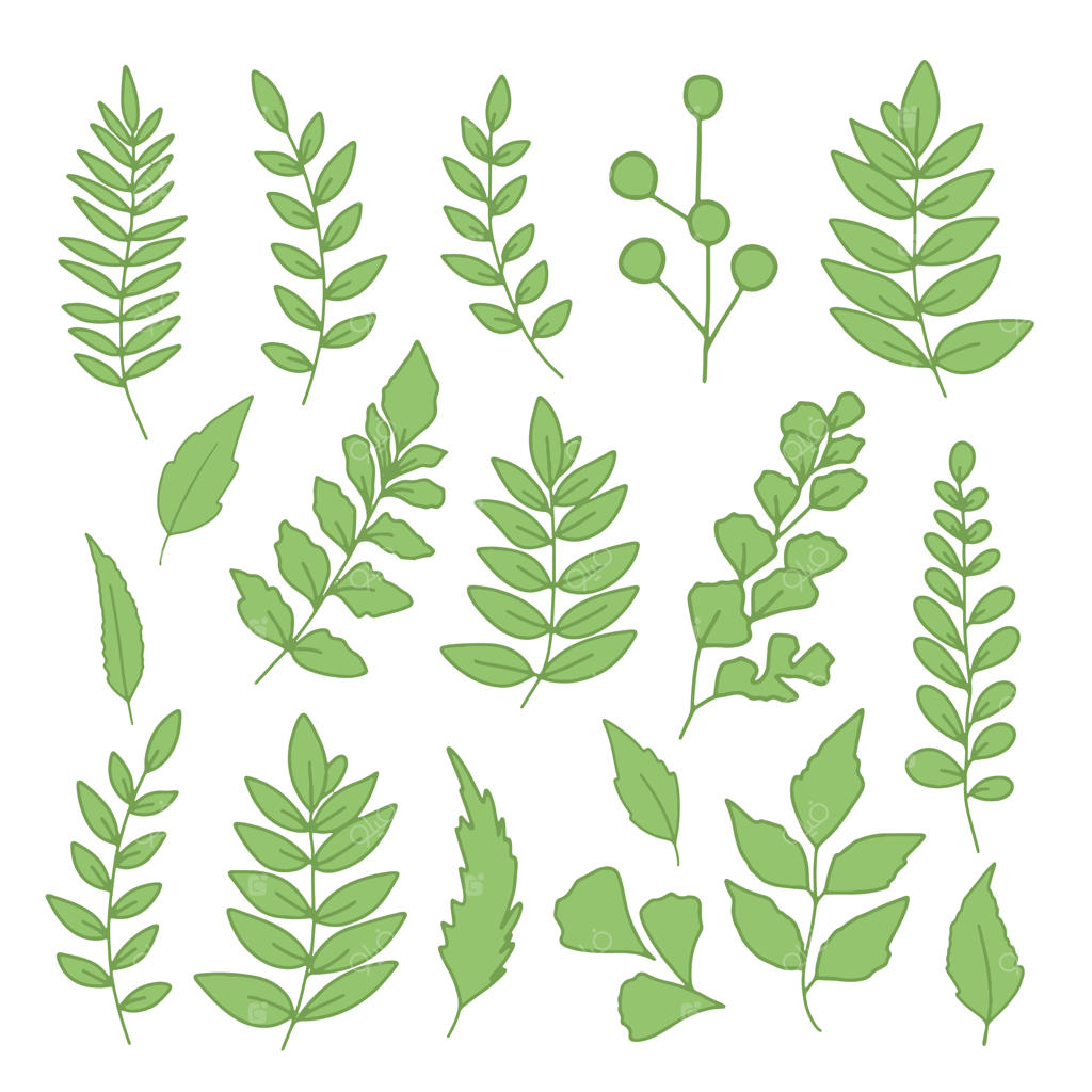 دسته گل‌های زیبا از عناصر گل آبرنگی و برگ‌ها