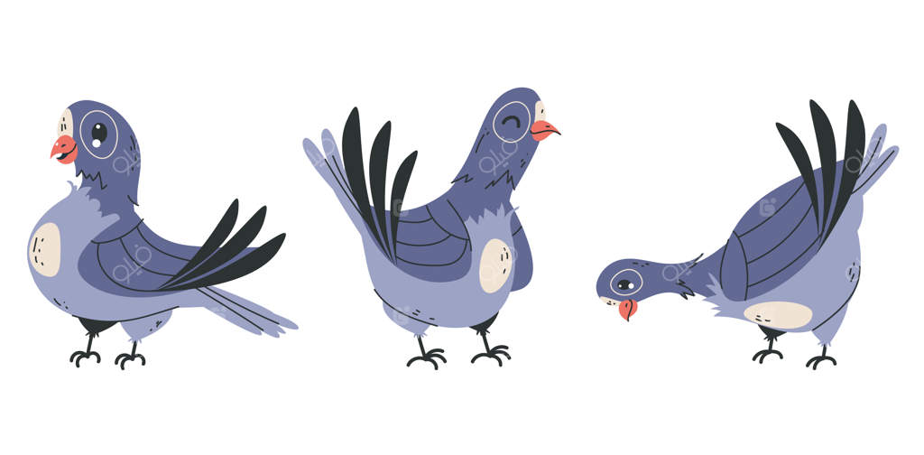 شخصیت کبوتر: مجموعه‌ای از حالات و حرکات مختلف با منقار متنوع