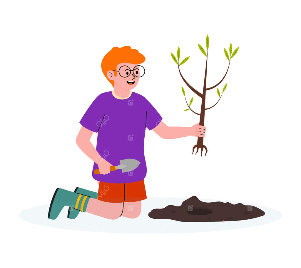 کودک خردسال در یک بعدازظهر آفتابی درختی در باغ می‌کارد