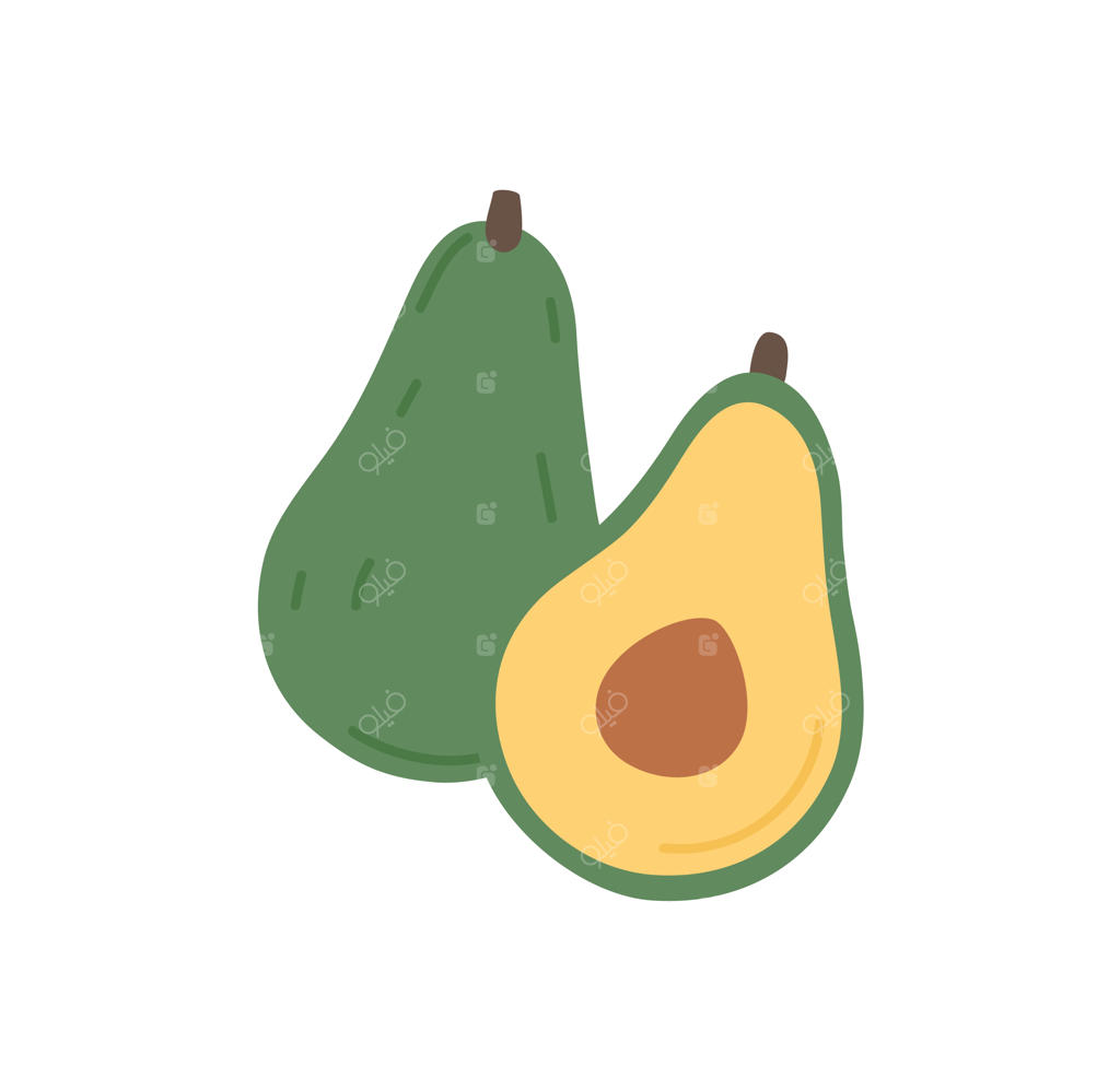 ترکیب میوه کامل آووکادو و نیمه برش خورده آن با هسته و گوشت. سبزیجات تازه و سبز با دانه درونش. غذای سالم و گیاهی. تصویرگری تخت بردار، جدا شده بر روی زمینه سفید.