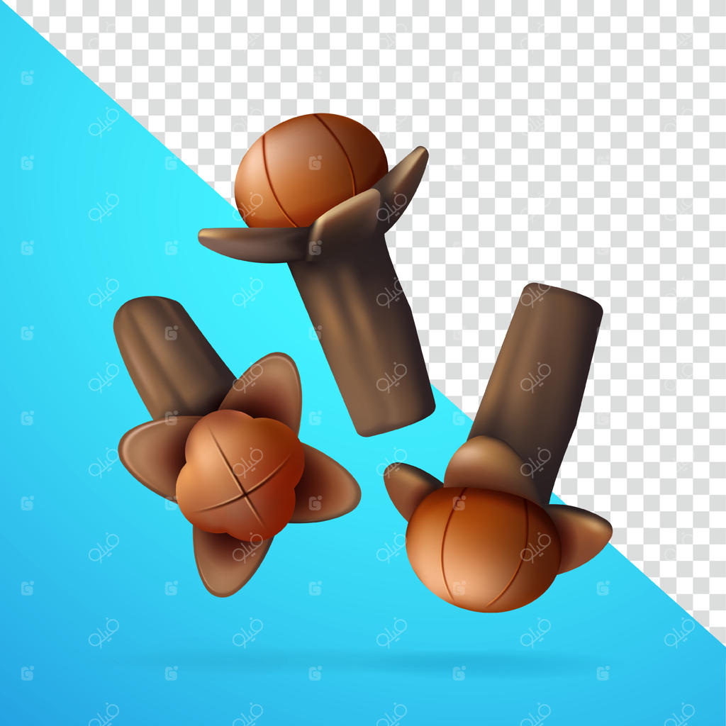 میخک: مناسب برای دکوراسیون، تزئینات، ادویه‌پزی و تبلیغات