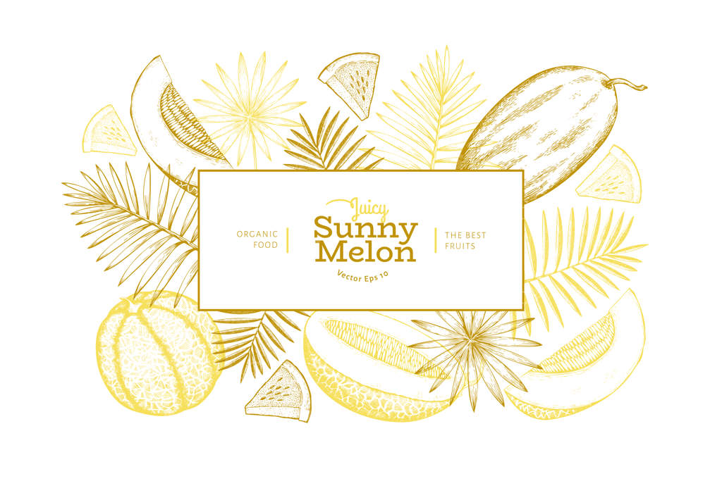 قالب پس‌زمینه‌ای با خربزه و هندوانه و برگ‌های استوایی