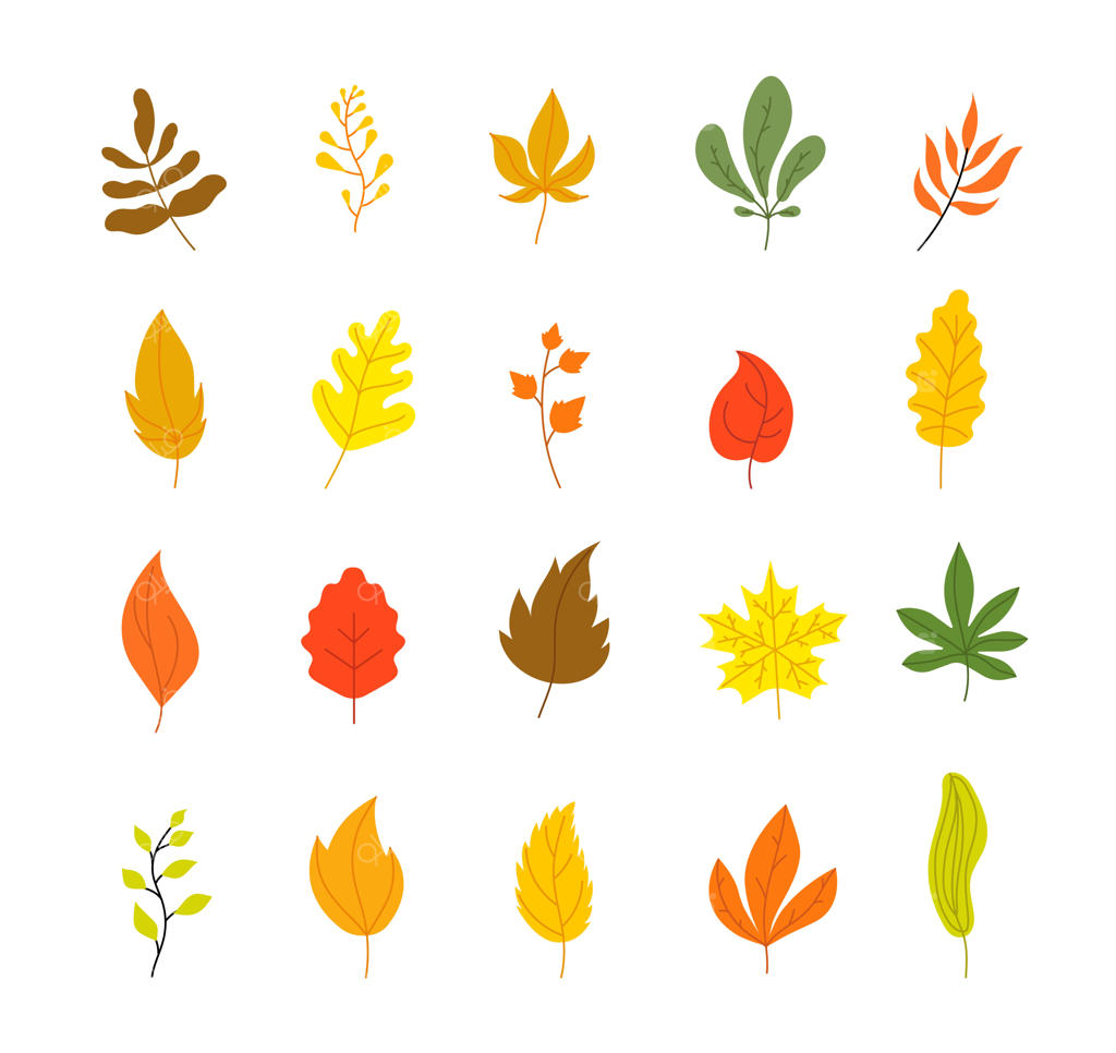 مجموعه برگ‌های پاییزی - برگ درختان، پاییز، برگ‌ریزانی، افرا، زرد و نارنجی، نمادهای فصل، جنگل، طراحی‌های گیاهی و عناصر تزیینی وکتور مجزا در طبیعت