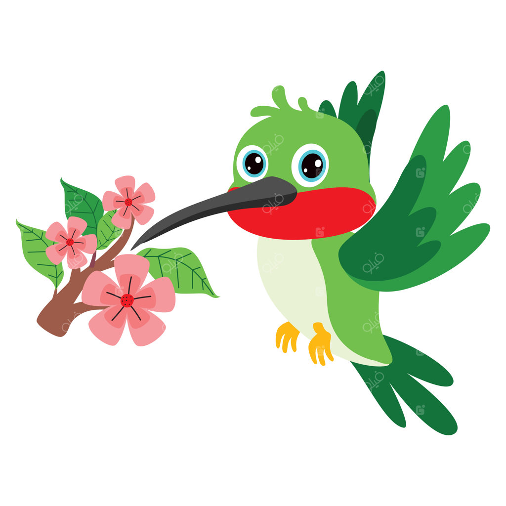 نقاشی کارتونی مرغ مگس‌خوار
