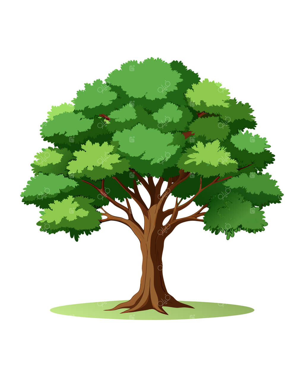 درختی با زمینه سفید و تصویری از درخت با نوشته "درخت" روی آن