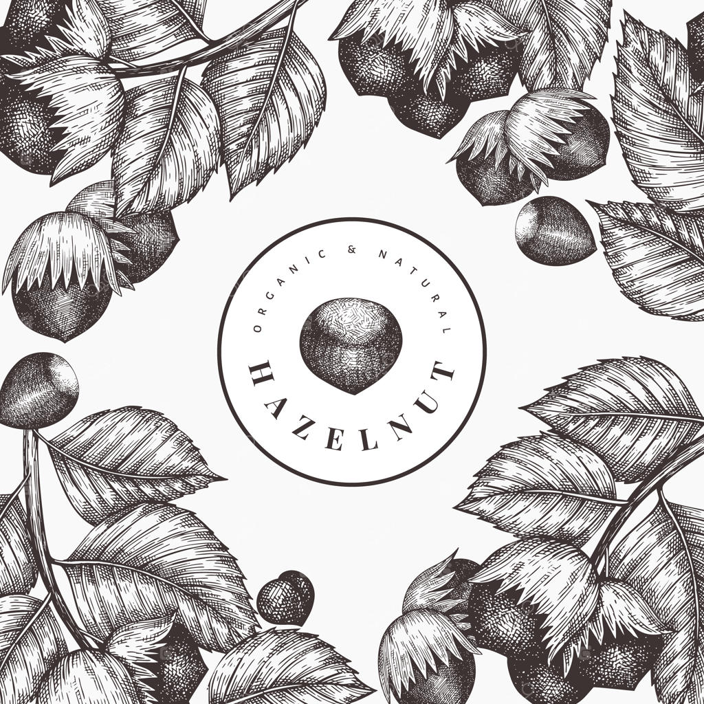 طرح قالب فندق به صورت طراحی دستی.