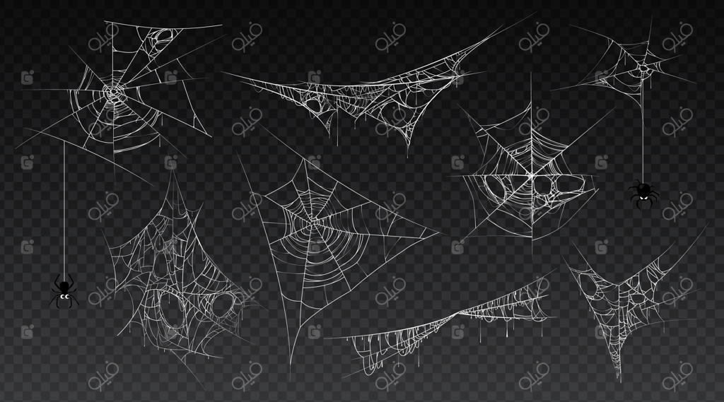 تار عنکبوت با عنکبوت آویزان: مجموعه‌ای از تارهای قدیمی و ترسناک