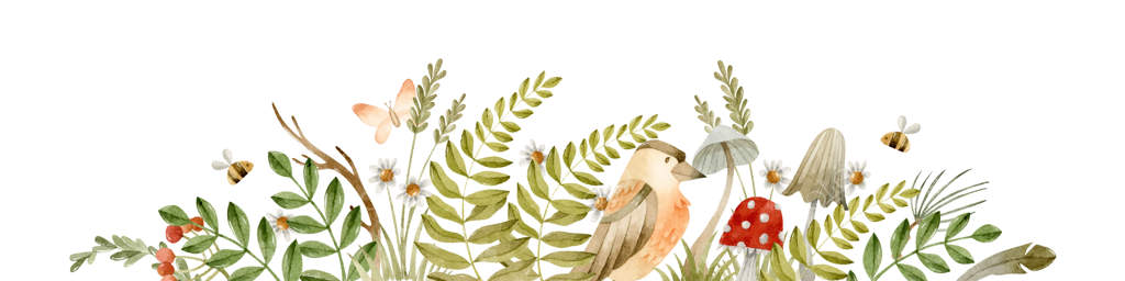 پرنده جنگلی، سرخس‌ها، قارچ‌ها و پروانه - بنر آبرنگی