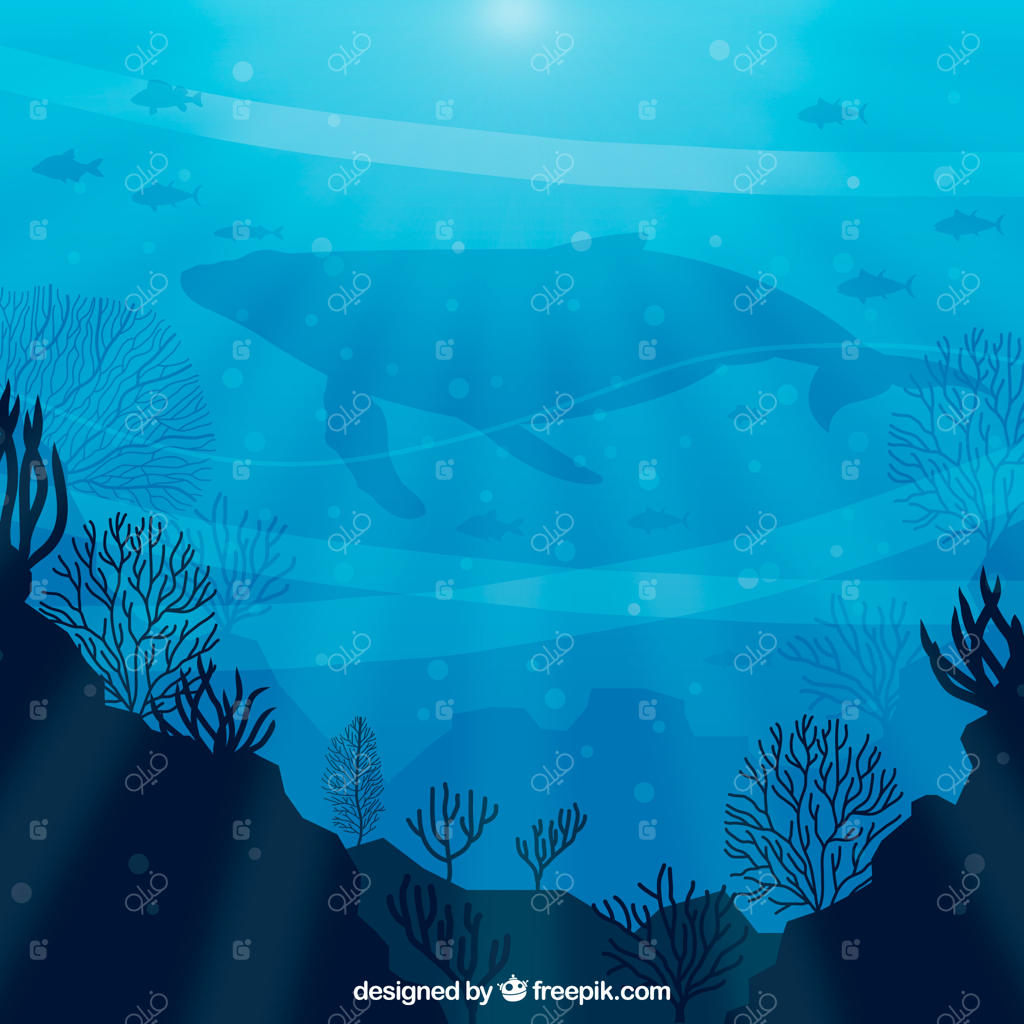 زمینه زیر آب با گونه‌های مختلف دریایی