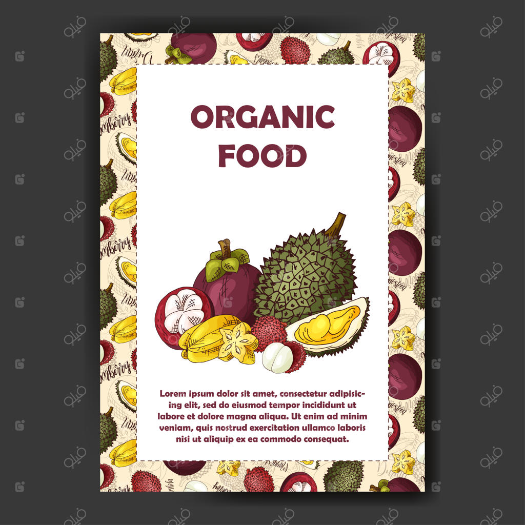 مجموعه کارت‌های میوه‌های ارگانیک