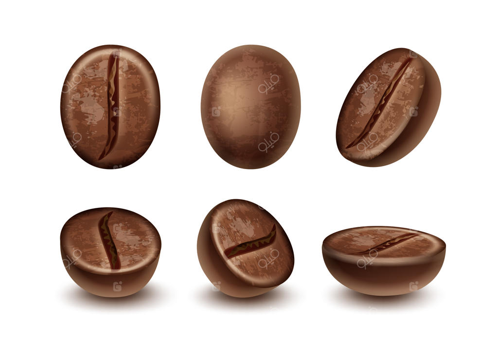 دانه‌های تازه برشته قهوه از زوایای مختلف روی زمینه سفید