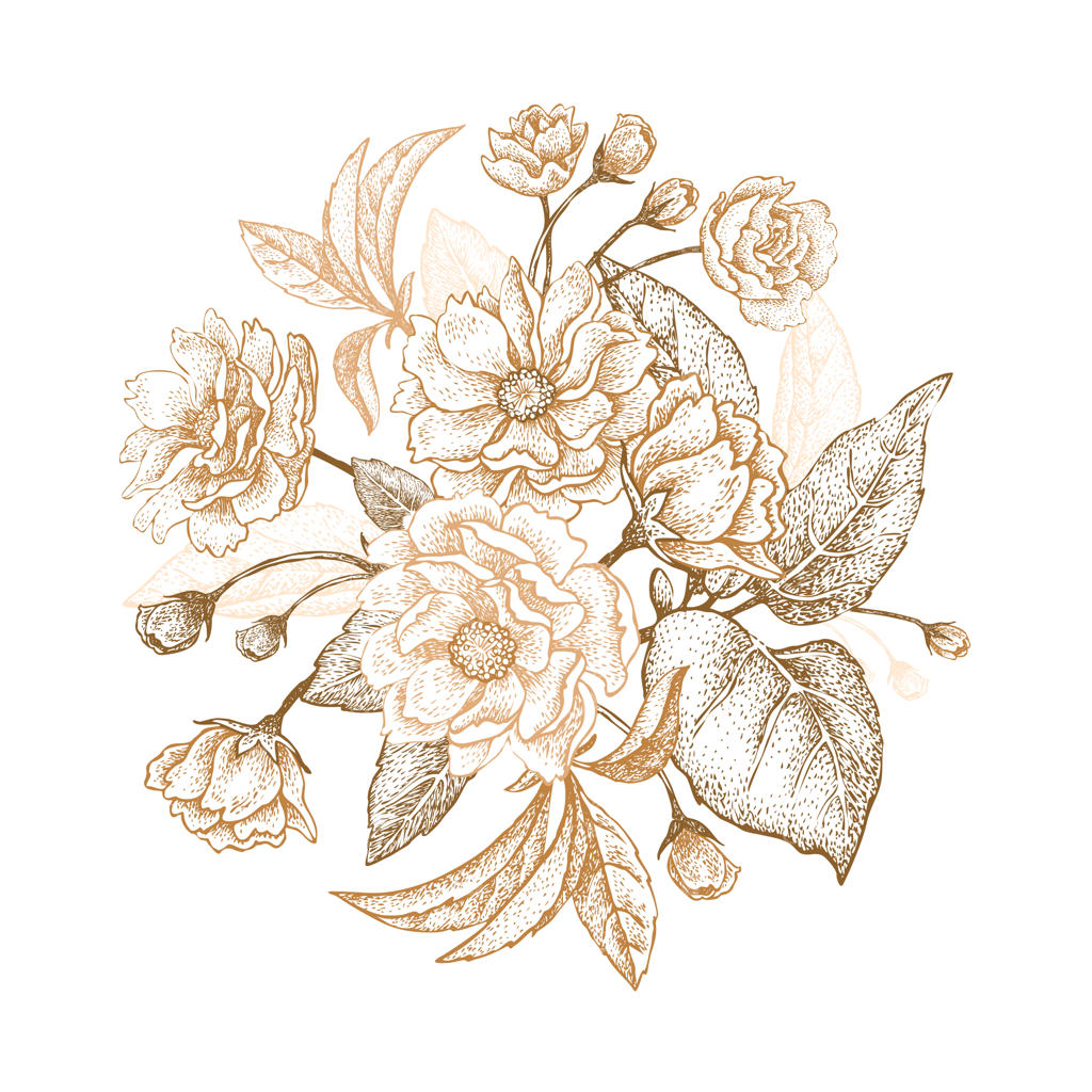 شکوفه‌های درخت آلو.