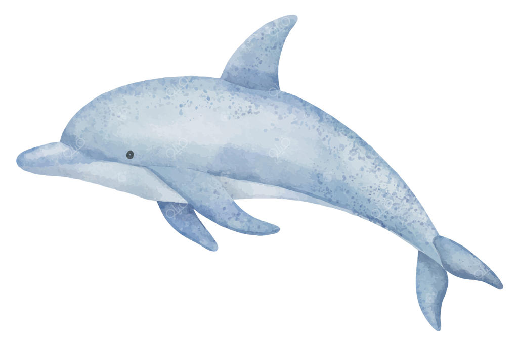 تصویر آبرنگی دلفین در رنگ‌های آبی پاستلی. طراحی حیوان دریایی با باله برای کارت‌های تبریک کودکانه یا دعوت‌نامه نوزاد. هنر پورپویز برای دکوراسیون دیواری مهد کودک.