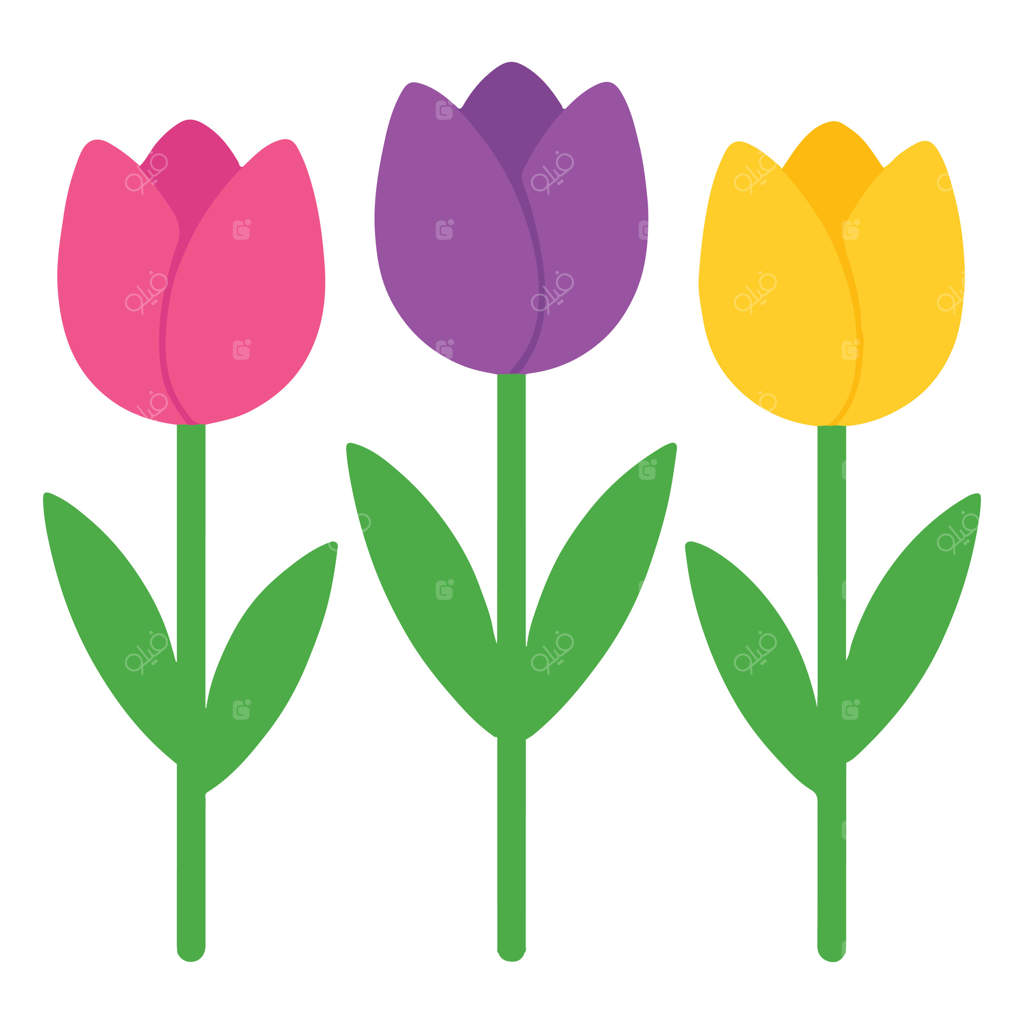 تصویر لاله، لاله‌های باغ جداگانه، کلیپ‌آرت رنگارنگ باغبانی، طراحی مخصوص باغبان‌ها