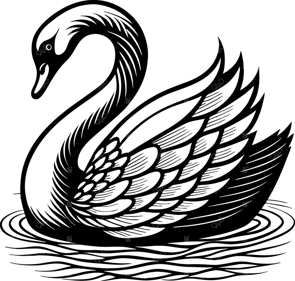 تصویرسازی قوی سیاه باوقار با جزئیات دقیق پرها برای طرح‌های تتو و کتاب رنگ‌آمیزی