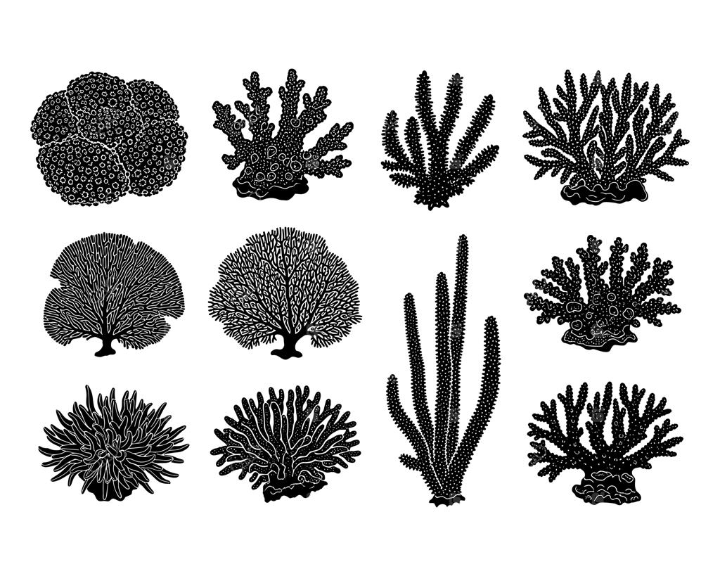 مجموعه طرح‌های ضد نور صخره‌های مرجانی