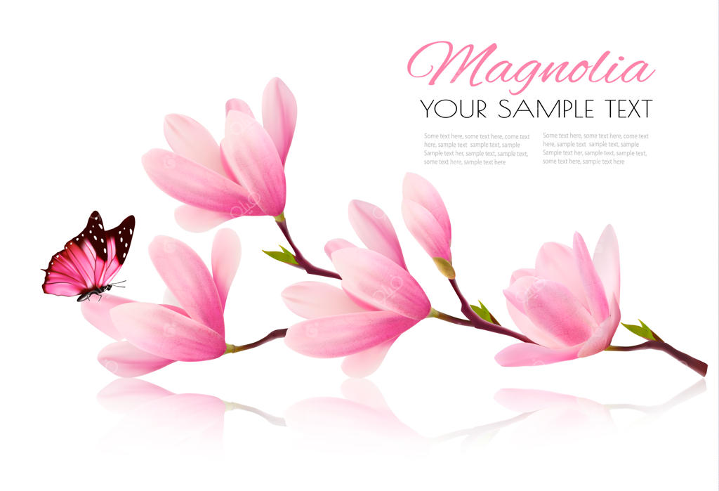 پس‌زمینه گل با شاخه شکوفه مگنولیای صورتی و پروانه