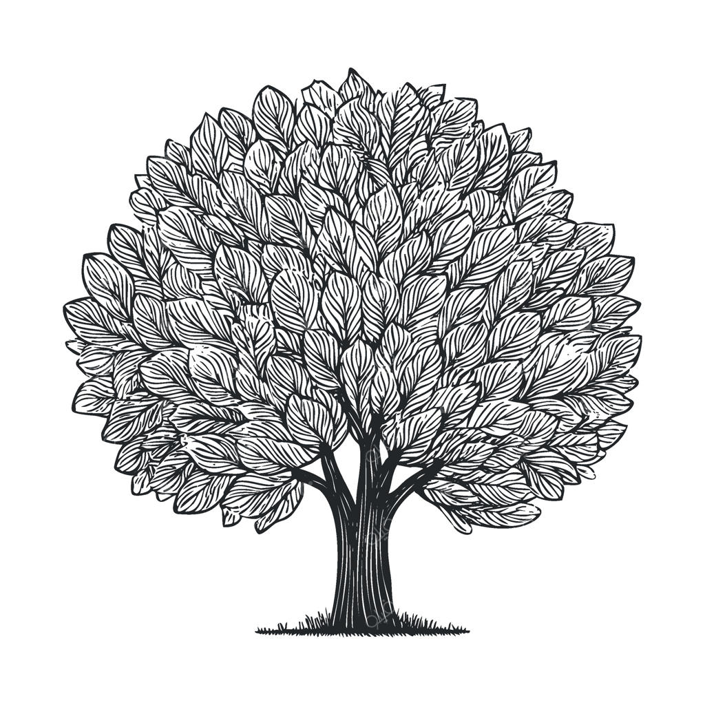 طراحی دقیق یک درخت برگ‌دار برای اهداف طراحی و برندینگ