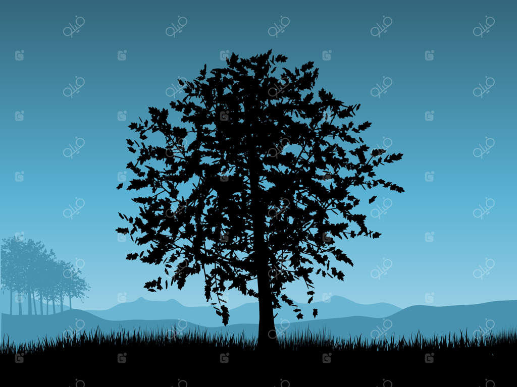 منظره‌ای با درختان در برابر آسمان شب