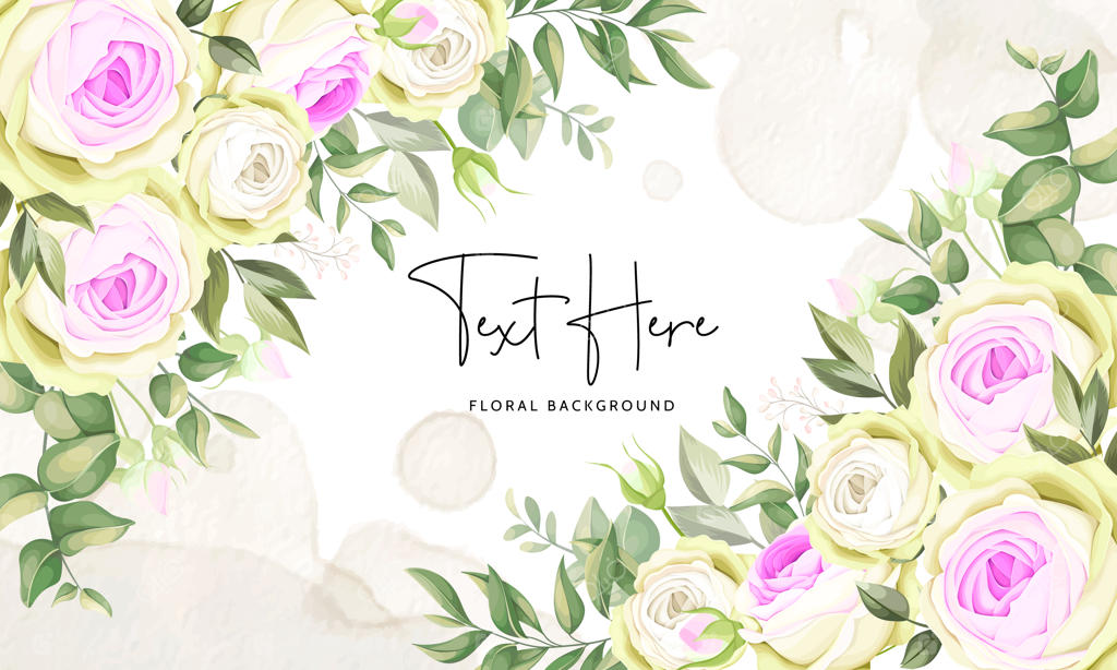 پیش‌زمینه گل‌های رز زیبا و دست‌کشیده