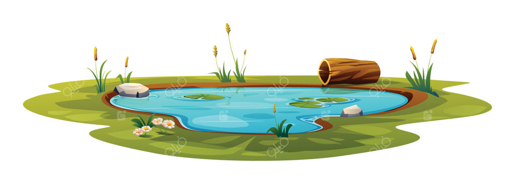 تصویر کارتونی وکتور از حوضچه طبیعی
