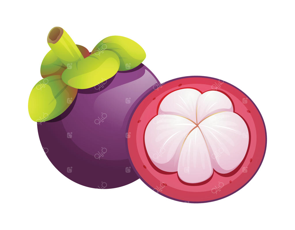 منگوستین کامل و نصف با برگ‌های سبز؛ تصویرسازی جداشده در پس‌زمینه سفید