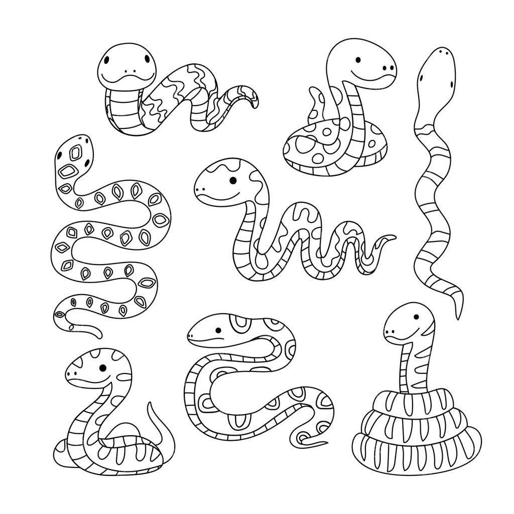 مجموعه‌ای از طرح‌های خطی مار: صفحه رنگ‌آمیزی یا کتاب حیوانات ویژه کودکان، طراحی‌های دست‌کشیده و ساده مار در حالت‌های مختلف.