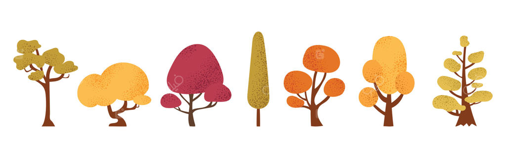 تصاویر زیبا و رنگارنگ از درختان مختلف در پاییز