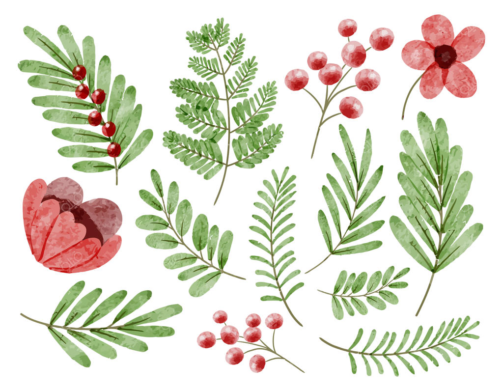 مجموعه‌ای از دسته گل‌های زیبا و عناصر گل‌آرایی آبرنگی