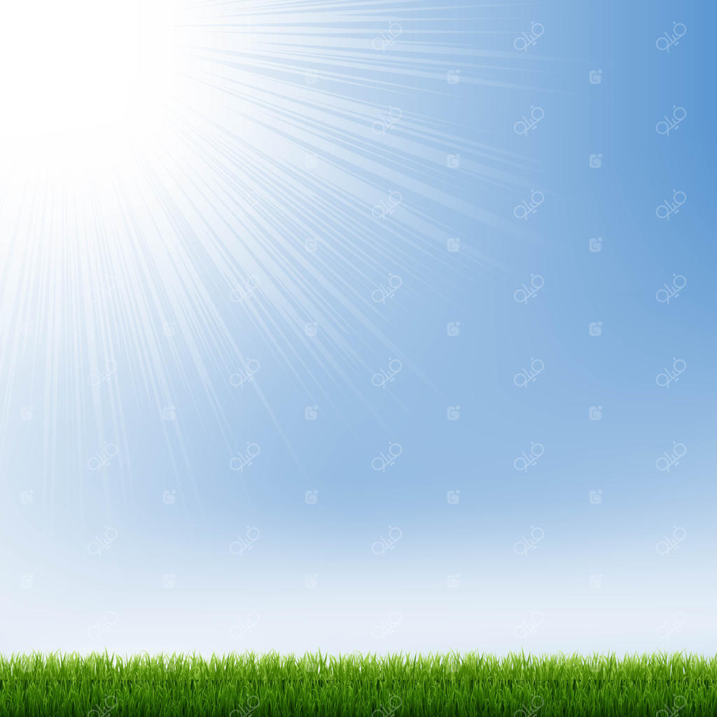 آسمان آبی و چمن سبز