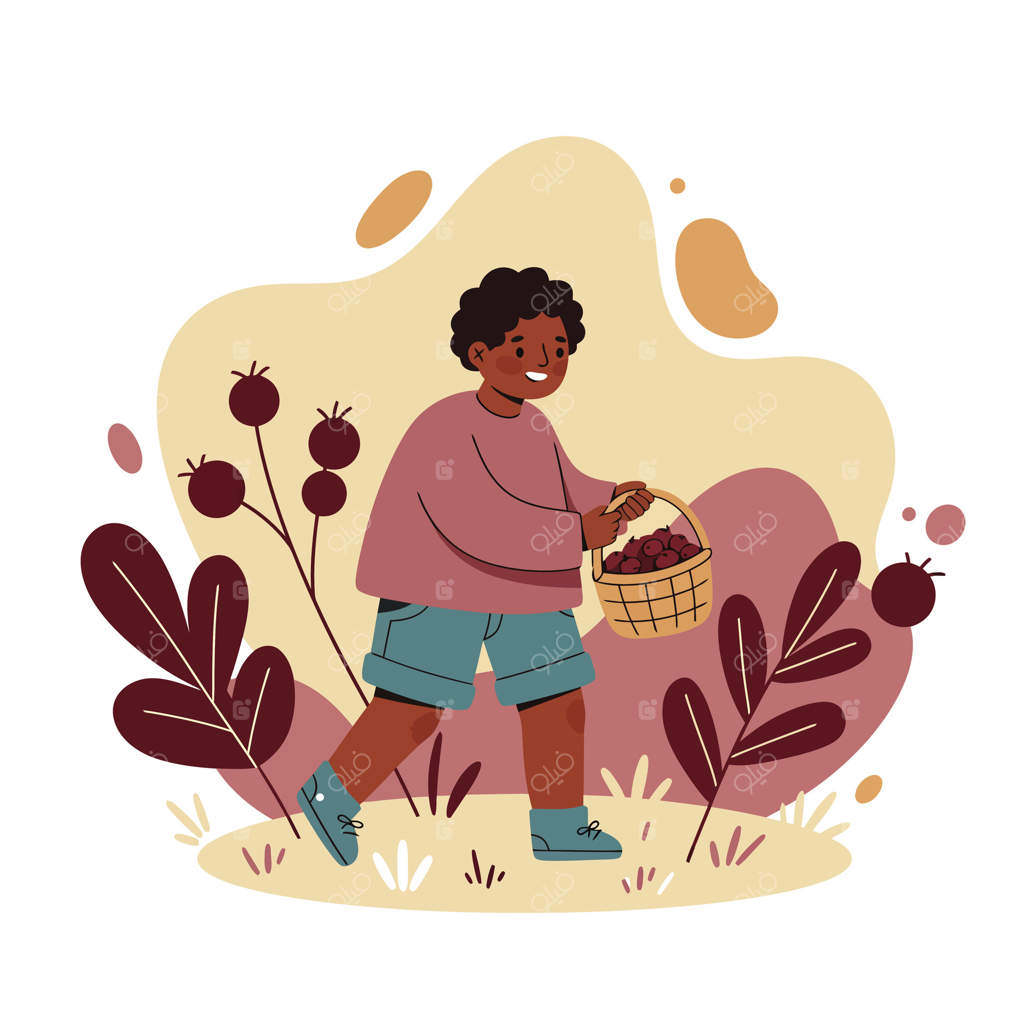 بچه‌ای در حال چیدن میوه‌ها در باغ با سبد و گیاهان رنگارنگ در فصل پاییز؛ فعالیت طبیعی بیرون از خانه