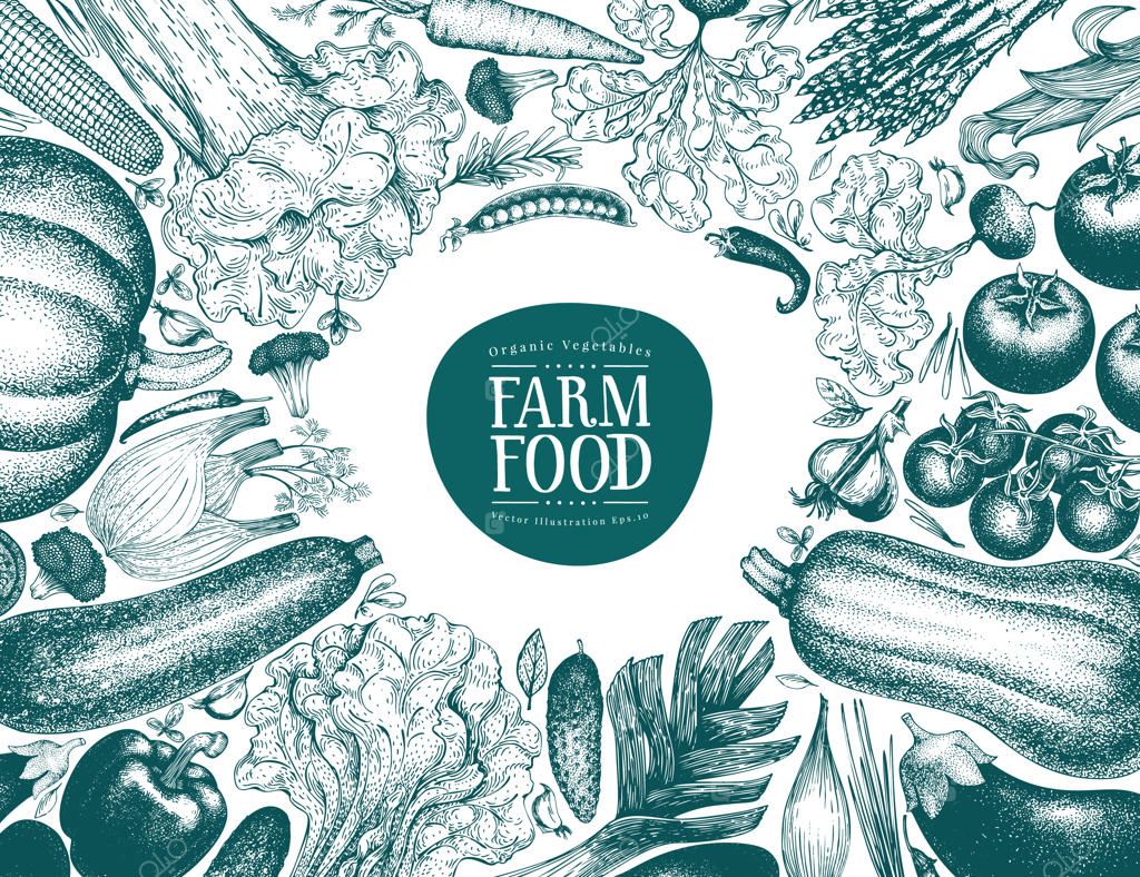 قاب سبزیجات دست‌کشیده به سبک وکتور