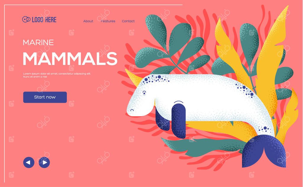 صفحه معرفی پستانداران دریایی