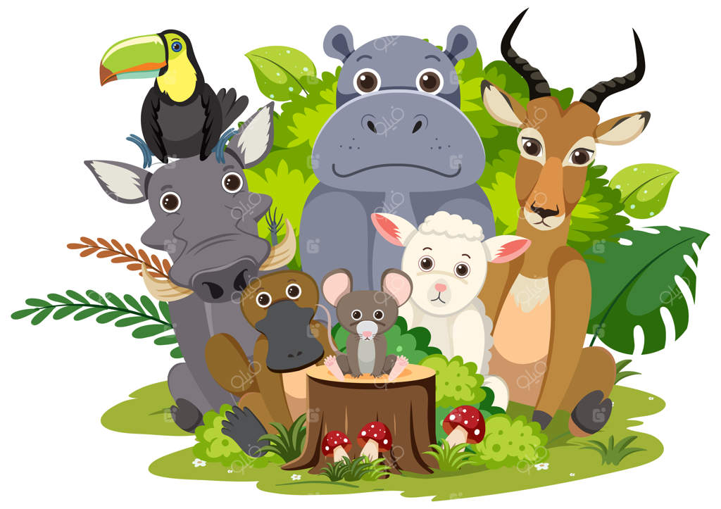 گروه حیوانات وحشی روی زمینه سفید